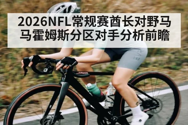 2026NFL常规赛酋长对野马马霍姆斯分区对手分析前瞻（MG Sports）